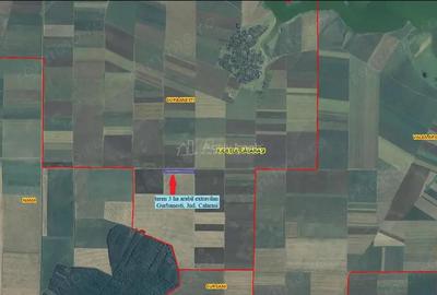 Teren de 30000 mp, în Gurbănești - 4