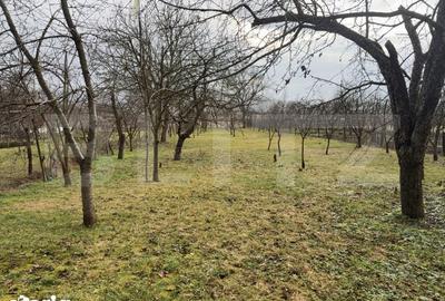 Casă cu 4 camere cu Teren 2770 Mp în Central - 11