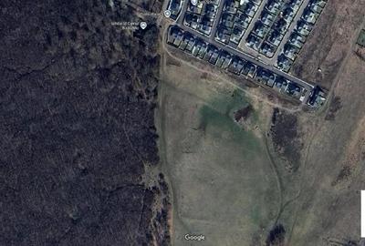 Teren de vanzare in Budiu Mic - 1