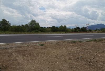 Teren pentru hale si depozite Timisul sec- Uzina 2 front la ocolitoare - 1