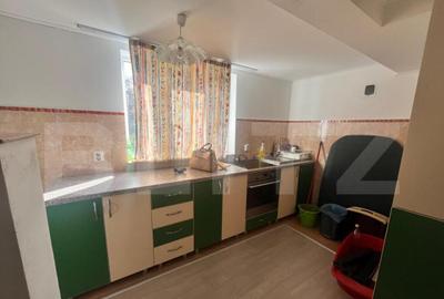 Casa individuala, zona Centrala, 10 ari teren, Prundu Bargau - 13