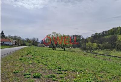 Teren Construcții intravilan de 8957 mp, în Săcădat - 3