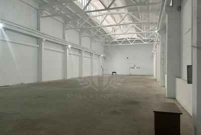 Spațiu industrial, în Mihai Bravu - 5