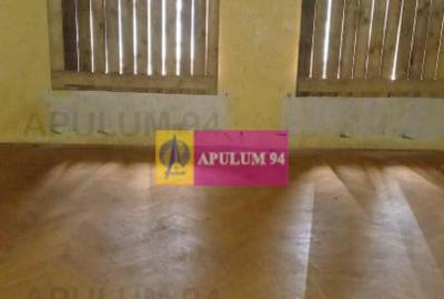 Vila P+1+pod- Parcul Ioanid - 5