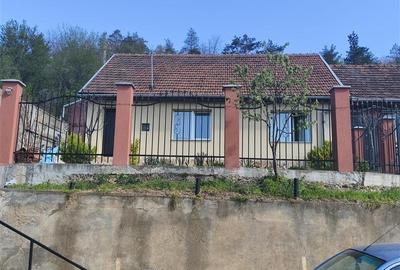 Casă individuală cu 3 camere cu Canalizare în Muncitoresc - 6