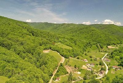 Teren de 16000 mp, în Poiana Mărului - 13