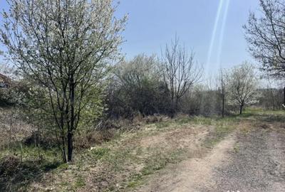 Teren de 998 mp, în Drumul Taberei - 3