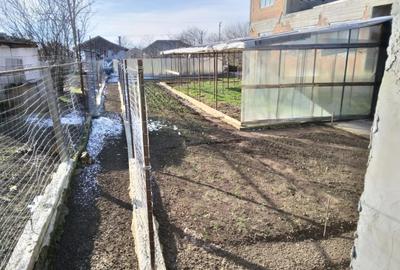 Casă cu 3 camere în Manasia - 1