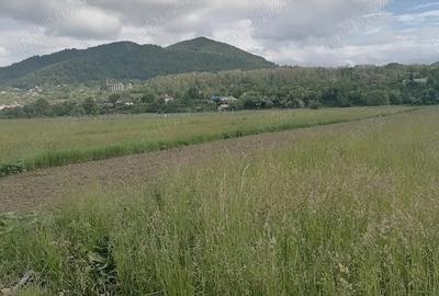 Teren de 3900 mp, în Central