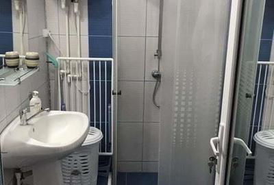 Apartament cu 1 camera de inchiriat in zona Aradului - 2