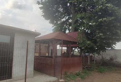 Casă cu 5 camere cu Teren 2500 Mp în Central - 5