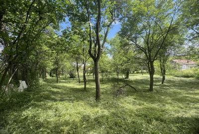 Teren de 1150 mp, în Șelimbăr - 3