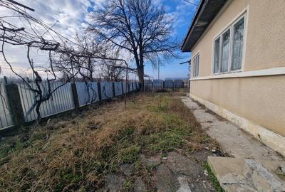 Casa + teren 2600 mp- Com. Negri- scop rezidential sau industrial - 7