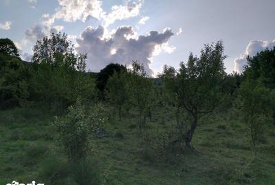 Teren de 18452 mp, în Moroeni - 3