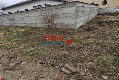 Spațiu comercial, în Cetate - 6