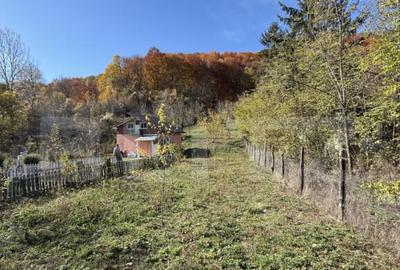 Oportunitate! Casa cu 2000 mp teren, Moreni Oportunitate! Casa cu 2000 mp teren, Moreni - 2