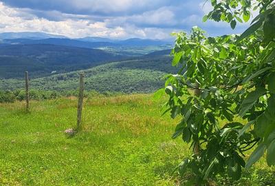Teren de 3690 mp, în Șuncuiuș - 9