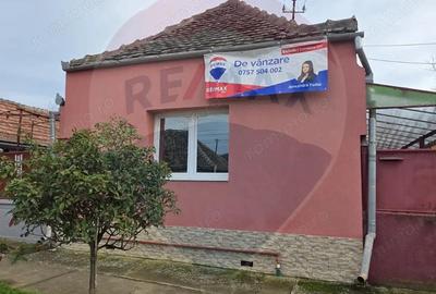 Casa de vanzare in Cetatea de Balta - 18