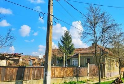 Vand Casa 3 camere 2000mp2 curte - 3