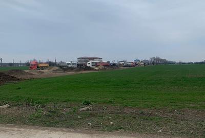 Teren Construcții intravilan de 10000 mp, în Afumați - 6