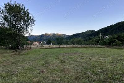Teren de 3400 mp, în Costești - 4