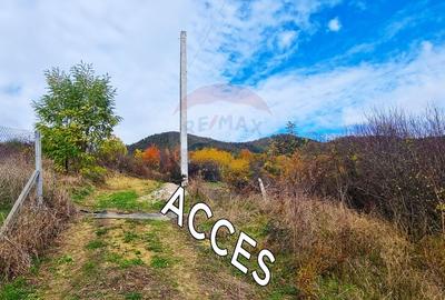 Teren Construcții intravilan de 2562 mp, în Nord-Vest - 2