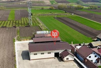 Spațiu comercial, de 368 mp, în Vadu Moldovei - 10