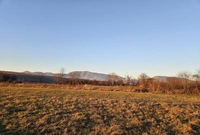 Teren intravilan 1555 mp - Arcani - 13 km de Tg. Jiu - 6