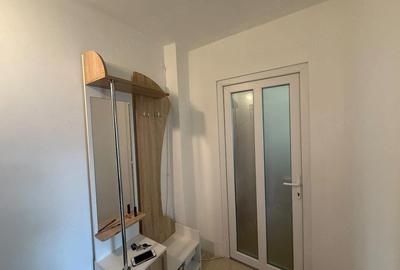 Apartament cu 2 camere semidecomandat în Gojdu - 9