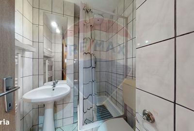 Apartament cu 3 camere decomandat în Triaj - 19