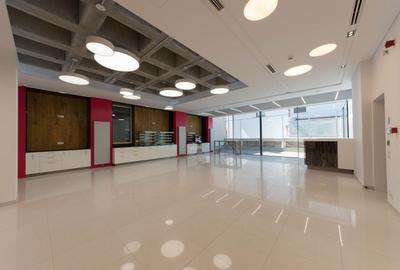 Vila Capo | Luxury offices 1800 mp | Dorobanti Capitale - 4