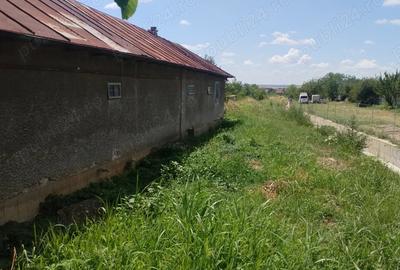 Casa batraneasca +4400 mp Casa batraneasca +4400 mp - 3