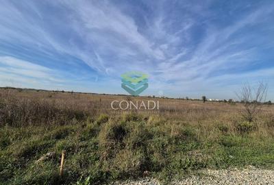 Teren de vanzare Padurea Baneasa 7.500 mp - 3