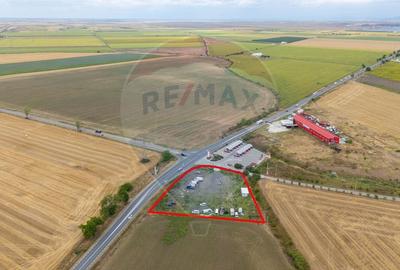 Teren 4.200 mp, intersectie DN Arad - Horia cu -Centura Sanleani - 11