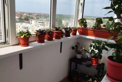 Apartament cu 3 camere decomandat în Aradul Nou - 8