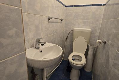 Apartament 3 camere de inchiriat Gorjului ( Sector 6 ) - 22