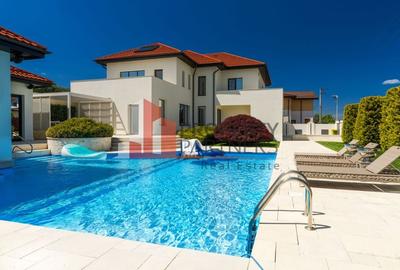 Vila Exclusivistă Domnești - 10