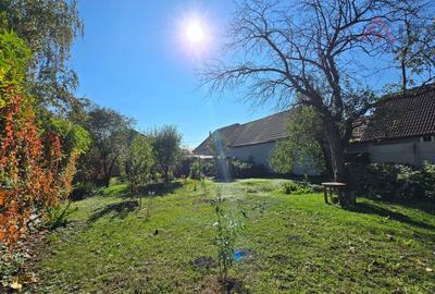 COMISION 0! Casa individuala cu 925 mp teren de vanzare in Piata Cluj - 3