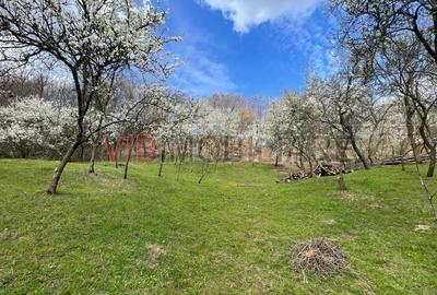 Teren intravilan de 7280 mp, în Mihăești - 1