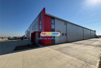 Inchiriere hala depozitare Parc Industrial TBM Rudeni Inchiriere hala depozitare Parc Industrial TBM Rudeni - 16