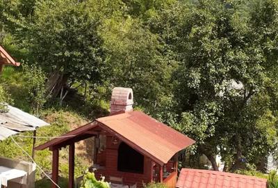 Casă cu 4 camere cu Teren 20 Mp în Băile Herculane - 10