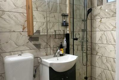 Apartament cu 2 camere de inchiriat ultracentral in Oradea - 8