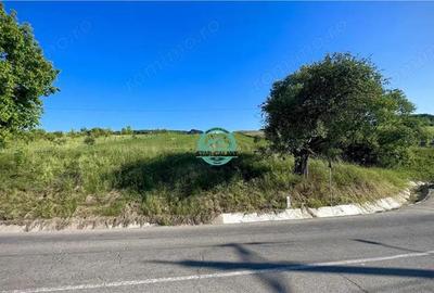 Vand teren intravilan in Sanisor cu suprafata de 4946 mp - 4