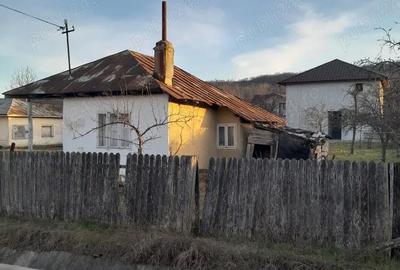 Casă cu Teren 480 Mp în Gura Caliței - 4