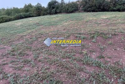 Teren Construcții de 2000 mp, în Șard - 3