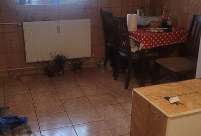 Colentina Teiul Doamnei - 2