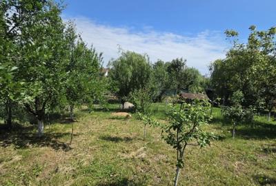 Casă individuală cu 4 camere cu Canalizare în Odoreu - 12