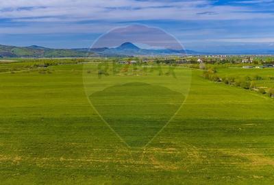 Teren agricol extravilan de 3000 mp, în Pănicel - 8