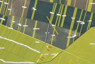 Teren extravilan Varvoru de Jos, jud Dolj - 3