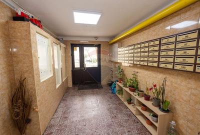 Apartament cu 4 camere decomandat în Pantelimon - 14